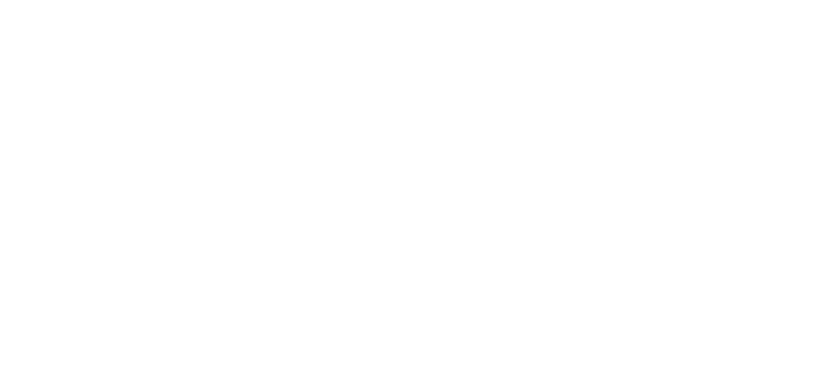נינג׳ה